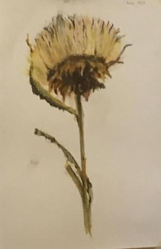 Artichoke