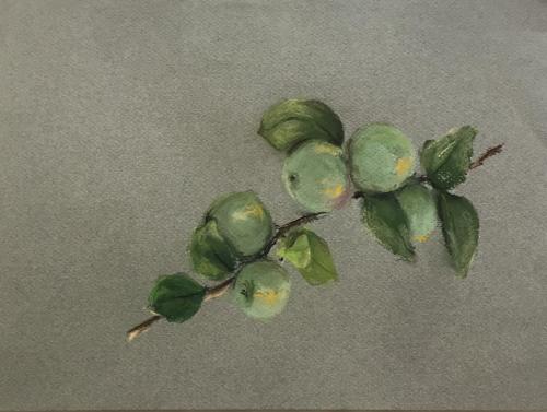 Apple tree