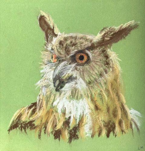 Here's looking at you