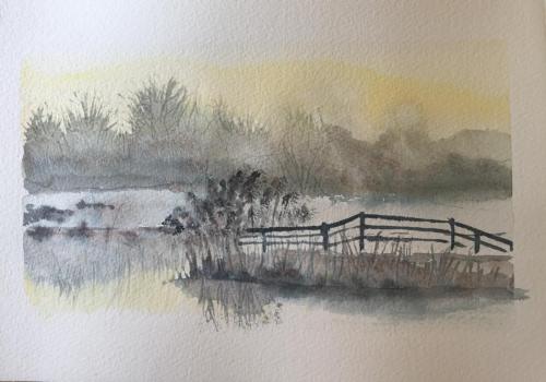 Frosty morning