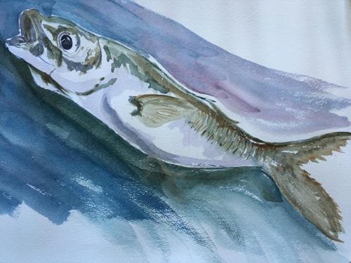 Olhao Fish