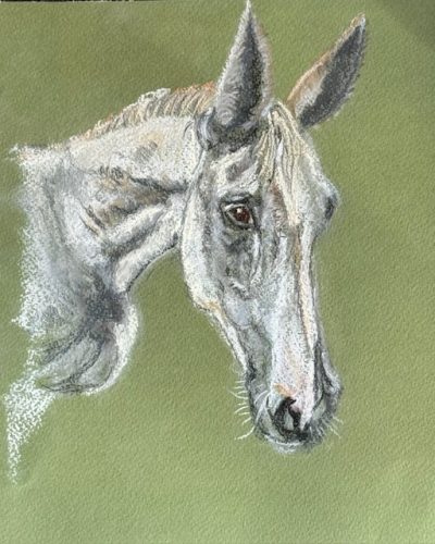 She who must be obeyed