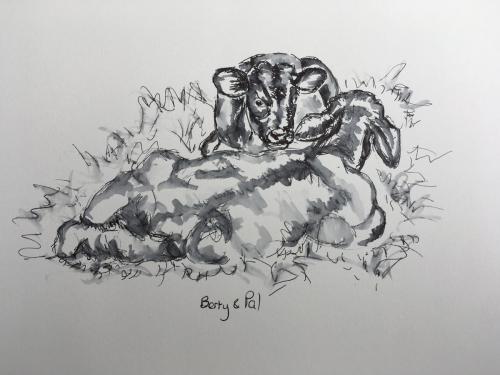 Berty and Pal