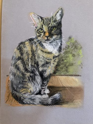 ‘I’m watching”