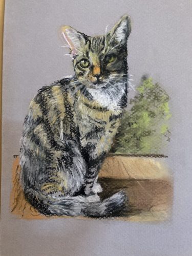 ‘I’m watching”