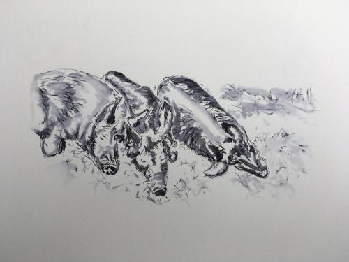 Three little piggies